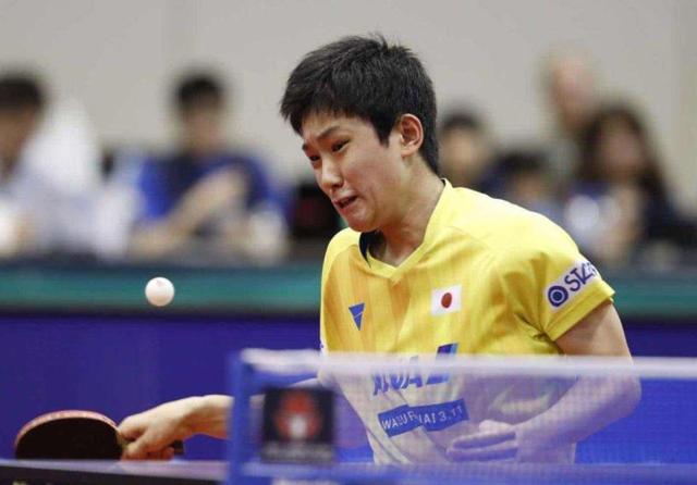 他们希望引 他们希望引