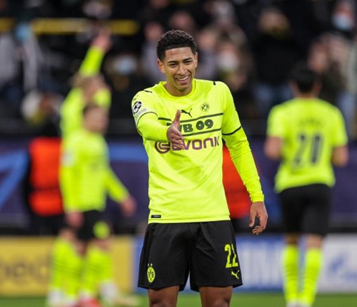 尼克斯希望 尼克斯希望